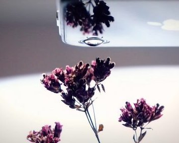 3 крутых фотолайфхака для вашего смартфона