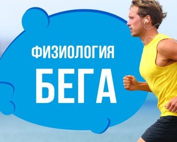 Что происходит с организмом во время бега