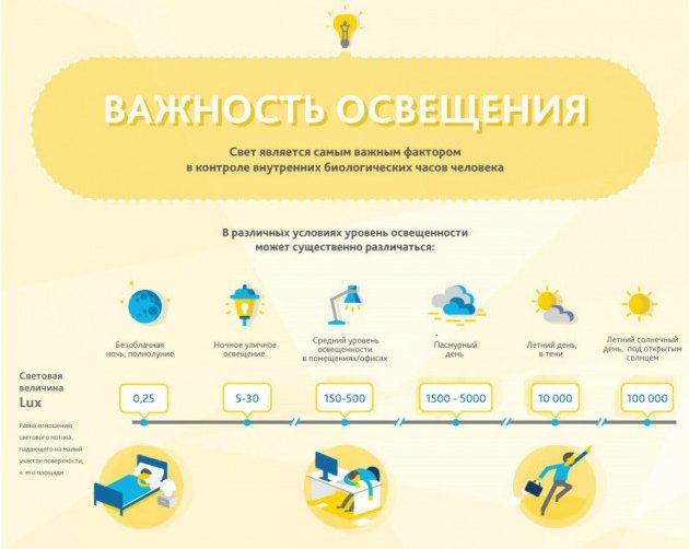 Как оставаться бодрым и энергичным осенью и зимой