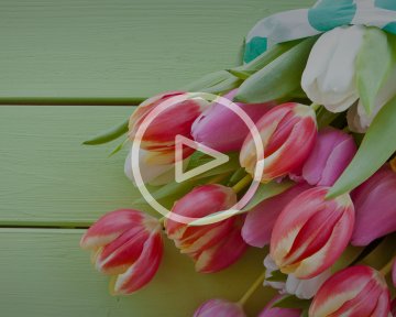Как продлить жизнь свежих цветов